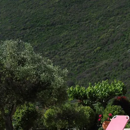 Villa Pantheon & Danae Luxury Sivota