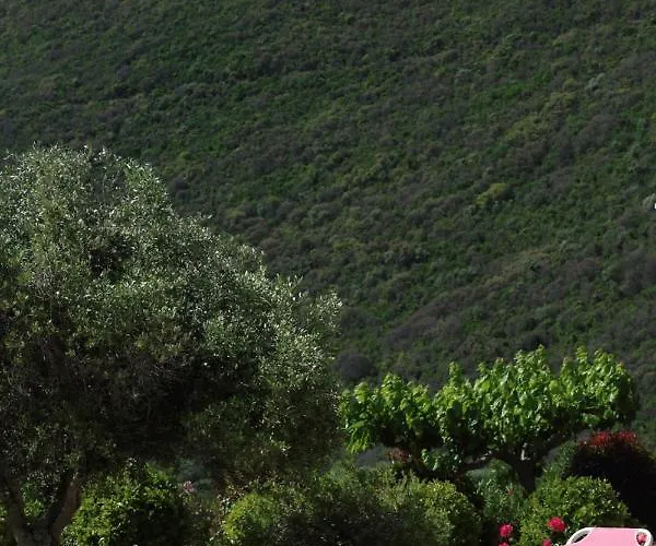 Villa Pantheon & Danae Luxury Sivota (Lefkada)